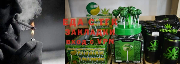индика Алзамай