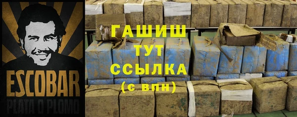 индика Алзамай