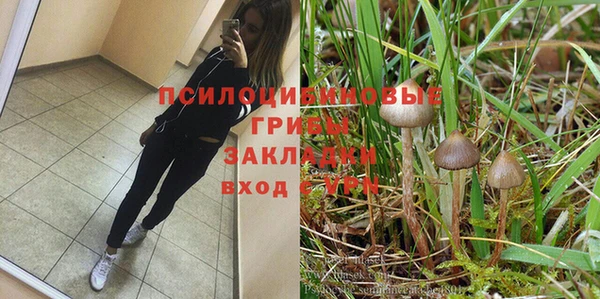 мескалин Алексин